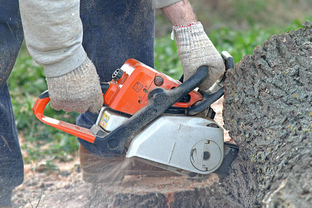 Mulching Services in Moncks Corner, SC